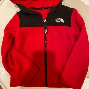 The North Face Toddler All Around Hoodie